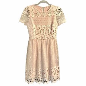 Stunning Lace Midi Dress